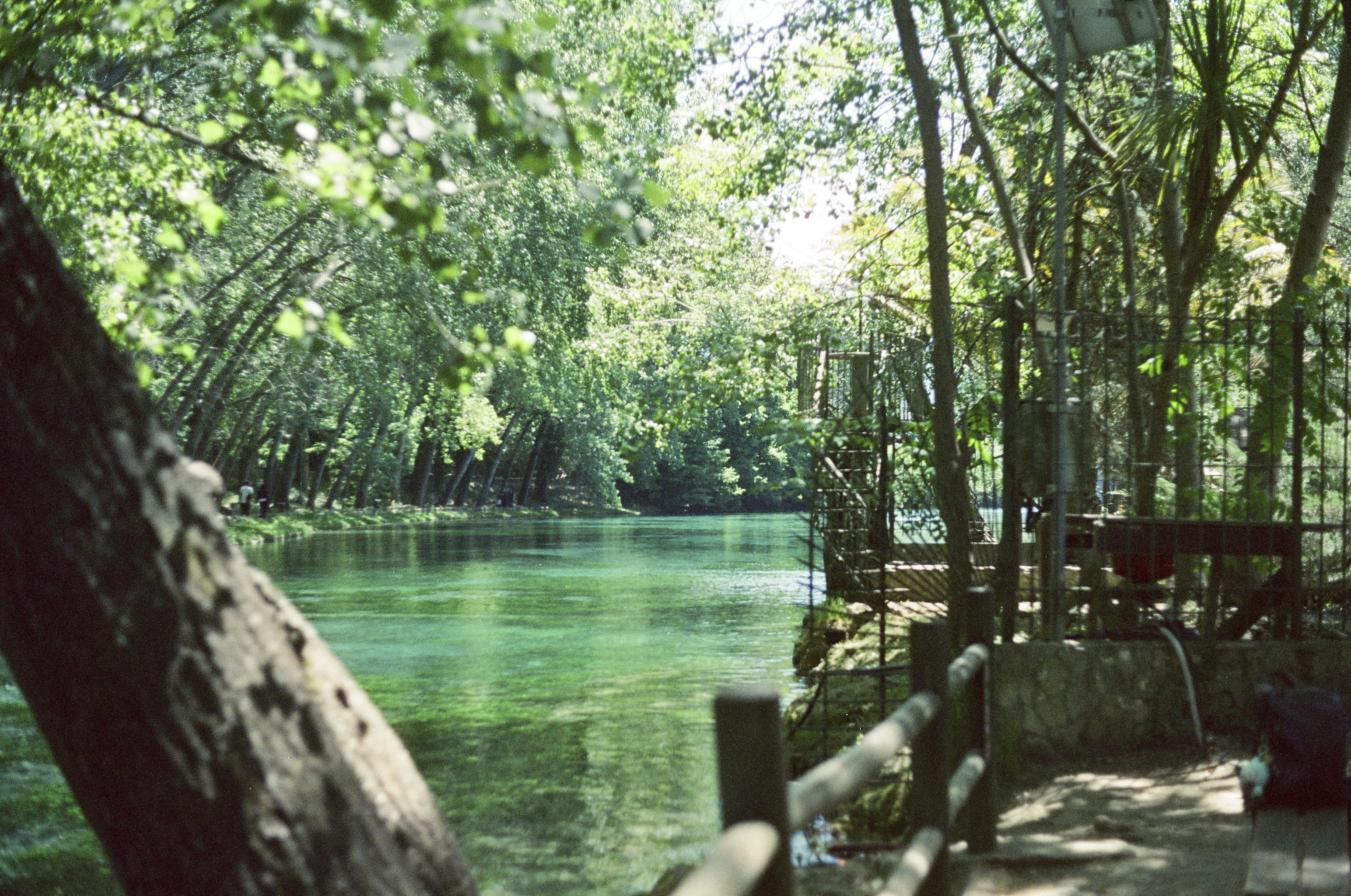 Joel Meyerowitz ed il tempo /10-joel-meyerowitz-ed-il-tempo/parco.jpg